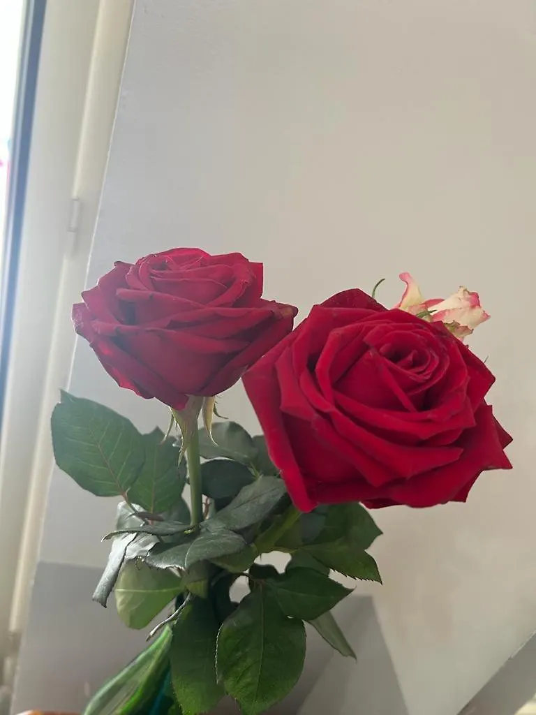 Home Cuore Di Napoli 5